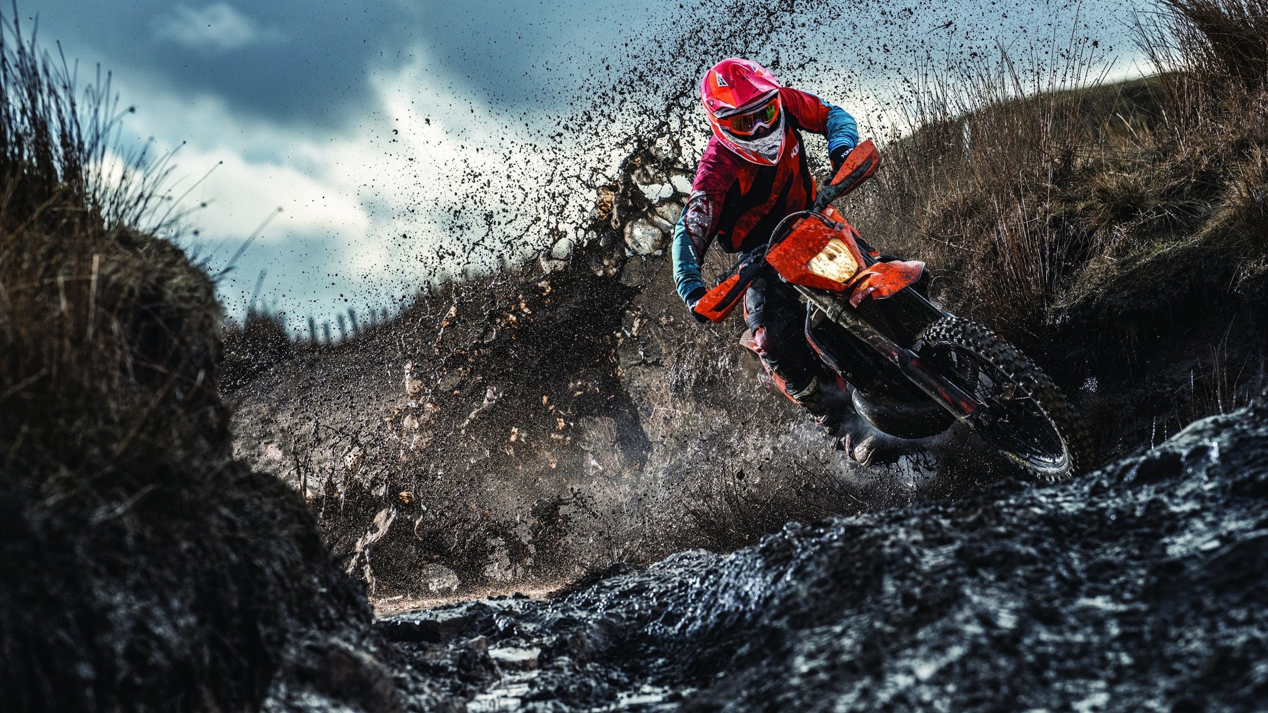 点球大战惊心动魄,蓝鹰绝杀红魔捧杯